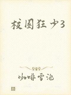 校园狂少3