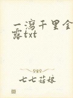 一泻千里金银花露txt封面