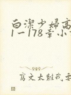 白洁少妇高义第1一178章小说封面