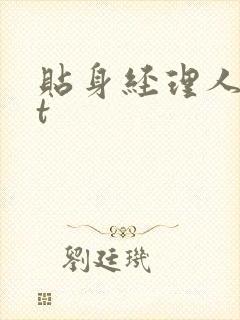 贴身经理人txt封面
