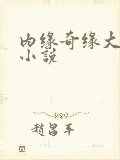 内缘奇缘大团圆小说封面