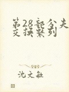 第28部分夫妇交换系列封面