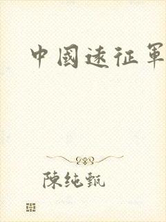 中国远征军小说
