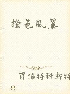橙色风暴封面