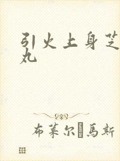 引火上身芝麻糖丸封面