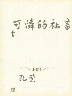 可怜的社畜txt