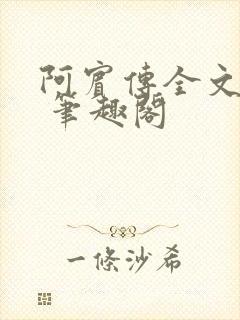 阿宾传全文阅读 笔趣阁