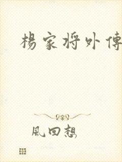 杨家将外传