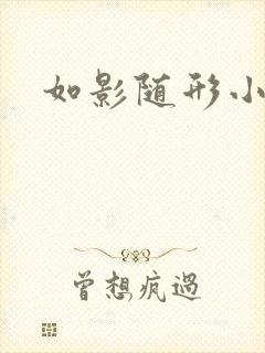 如影随形小说