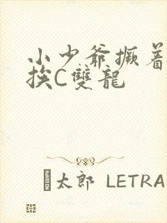 小少爷撅着屁股挨C双龙