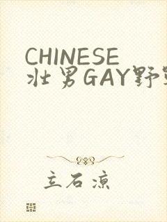 CHINESE壮男GAY野战强迫TUBE