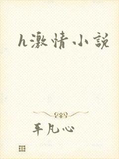 h激情小说封面