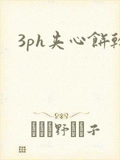3ph夹心饼干