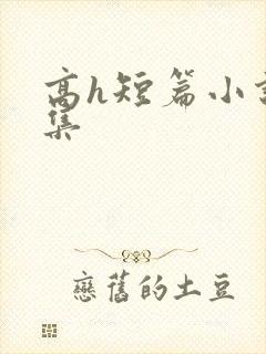 高h短篇小说合集封面