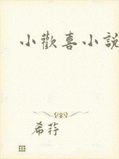 小欢喜小说