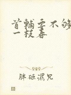 首辅要不够po一枝春封面