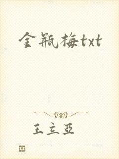 金瓶梅txt封面