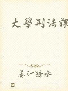 大学刑法课