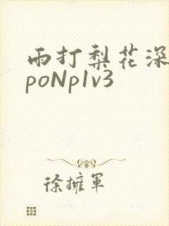 雨打梨花深闭门poNp1v3封面