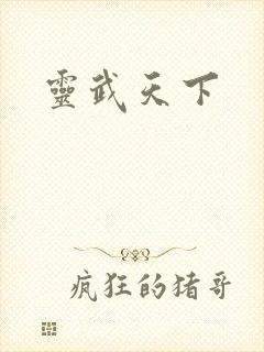 灵武天下