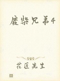 废柴兄弟4封面