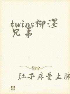 twins柳泽兄弟