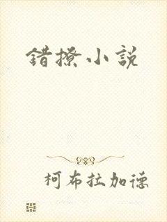 错撩小说