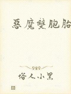 恶魔双胞胎