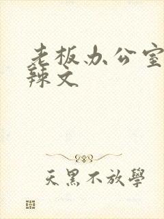 老板办公室系列辣文