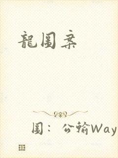 龙图案封面
