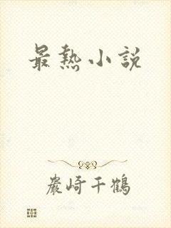 最热小说