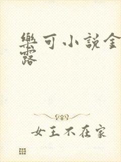 乐可小说金银花露封面