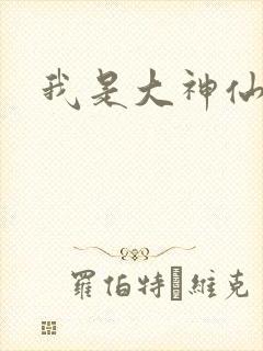 我是大神仙小说封面