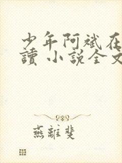 少年阿斌在线阅读 小说全文免费