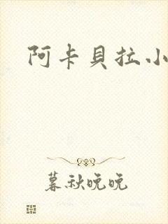 阿卡贝拉小说