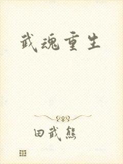 武魂重生封面