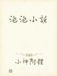 泡泡小说