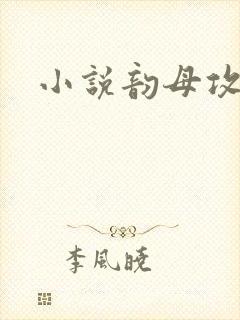 小说韵母攻略