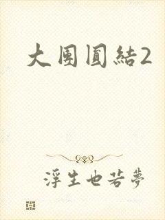 大团圆结2封面