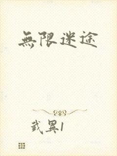 无限迷途封面