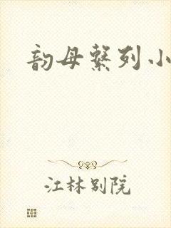 韵母系列小说