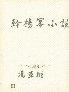 干杨幂小说