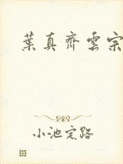 叶真齐云宗免费封面