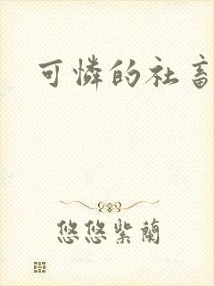 可怜的社畜封面
