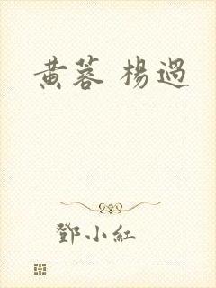 黄蓉 杨过封面