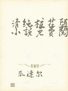 清纯校花堕落记小说免费阅读