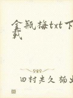 金瓶梅txt下载封面