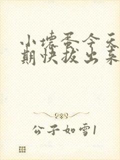 小坏蛋今天危险期快拔出来