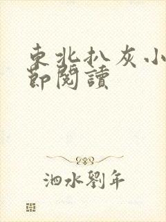 东北扒灰小说分节阅读