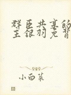 群臣共享的小公主银羽免背刺